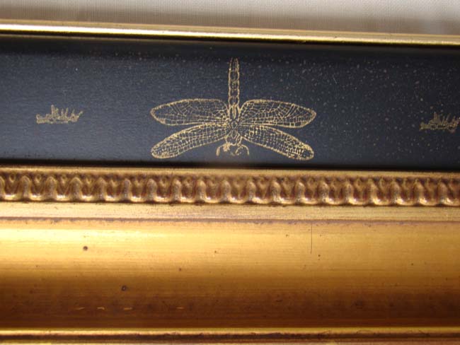 A RARE Frontispiece from Basilius Besler's “Hortus Eystettensis“ published in 1640 — image 5